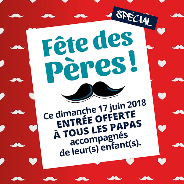 Offre Fête des pères Salto Trampoline Arena-Mougins-Aix